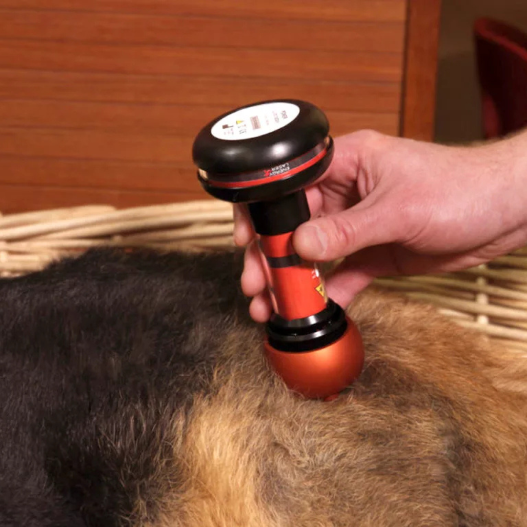 Energy-Laser L2000 Pro lágylézer - Image 5