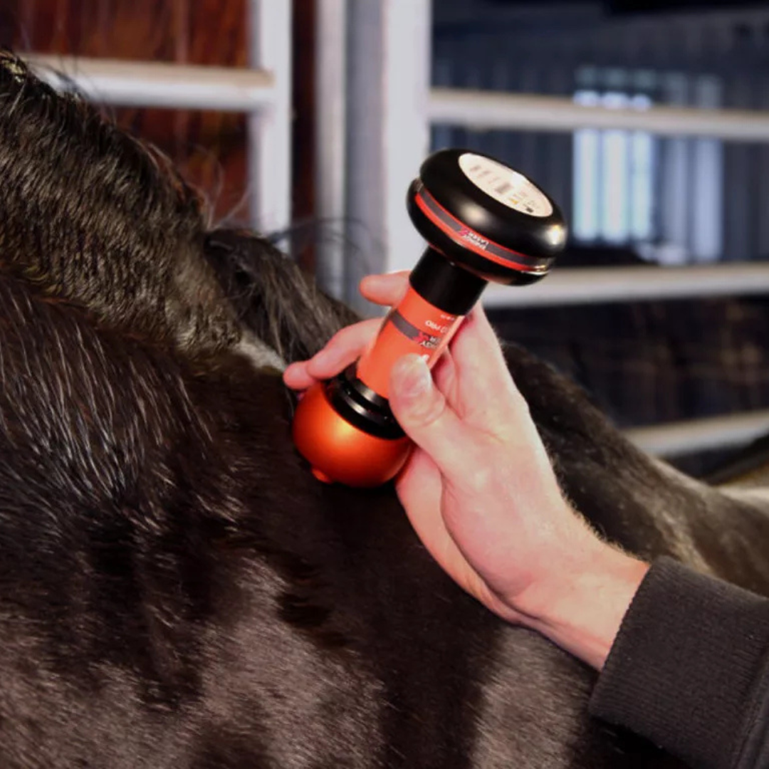 Energy-Laser L2000 Pro lágylézer - Image 6